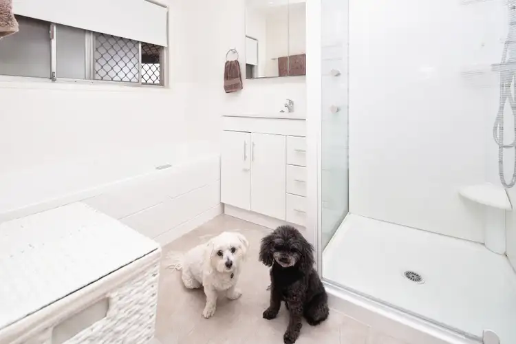 Sixth view of Homely house listing, 25 Woggle Street, Jamboree Heights QLD 4074