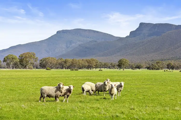 Second view of Homely rural property listing, 93 Pomonal East Road, Pomonal VIC 3381