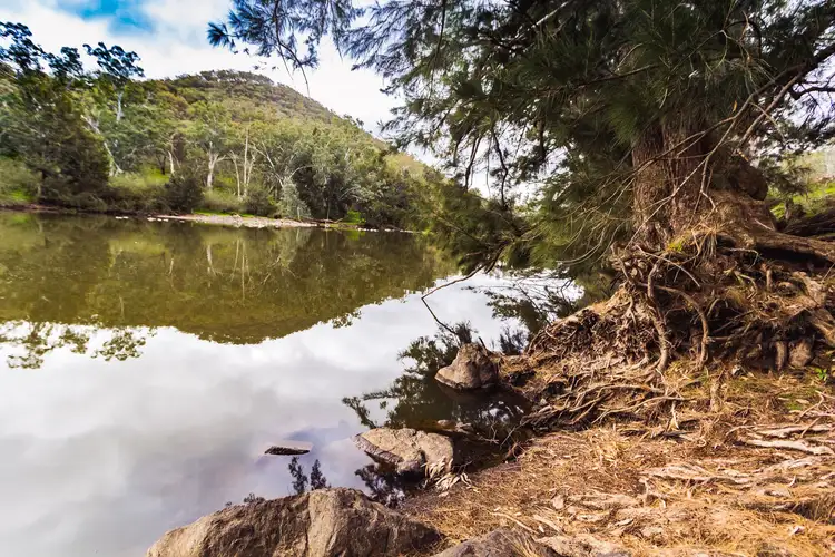 Fourth view of Homely rural property listing, 2500 Childowla Road, Bookham NSW 2582