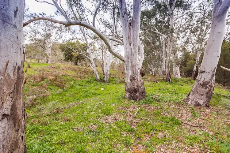 Sixth view of Homely rural property listing, 2500 Childowla Road, Bookham NSW 2582