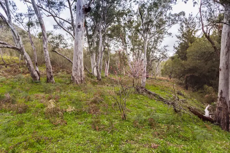 Seventh view of Homely rural property listing, 2500 Childowla Road, Bookham NSW 2582