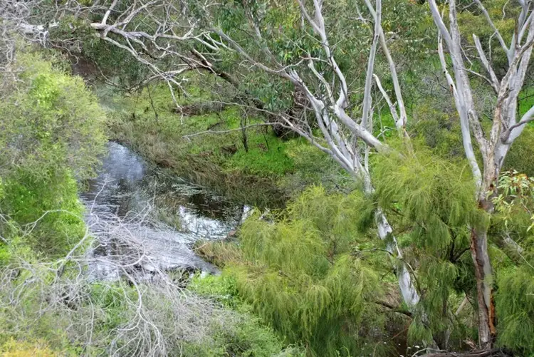 Fifth view of Homely land listing, Lot 129 Marine Drive, Jurien Bay WA 6516