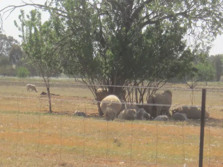 Second view of Homely land listing, 41 Lime Street, Marrar NSW 2652