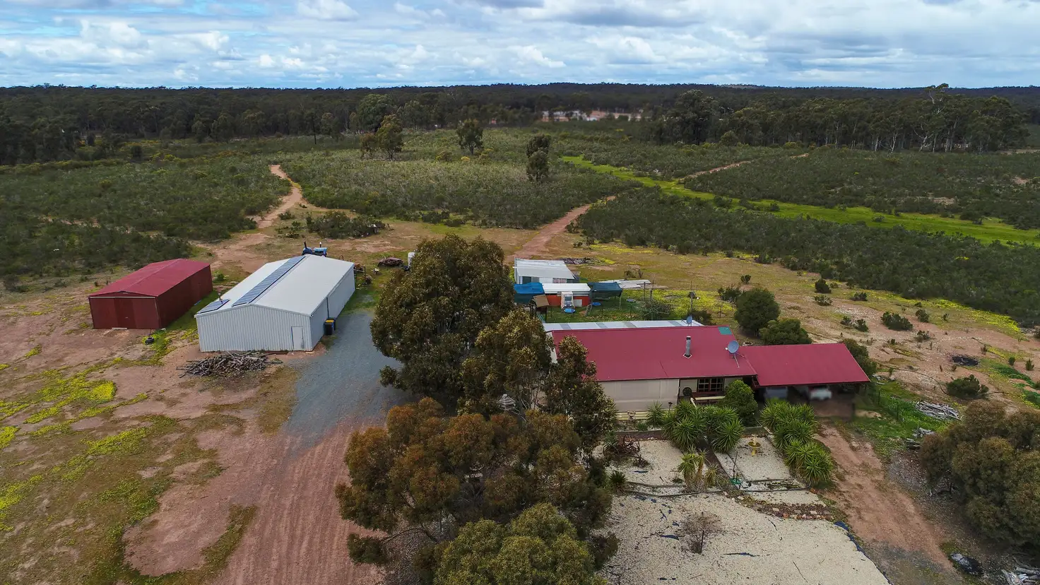 Main view of Homely house listing, 397 Nine Mile Road, Rushworth VIC 3612