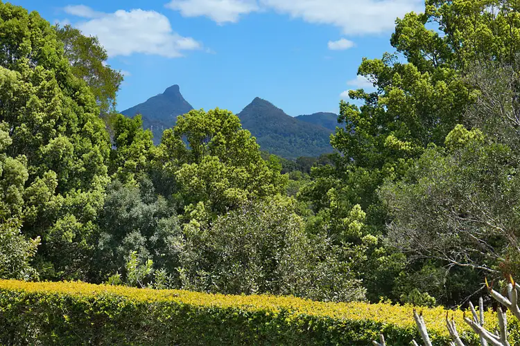 Second view of Homely rural property listing, 90 Malabar Avenue, Smiths Creek NSW 2484
