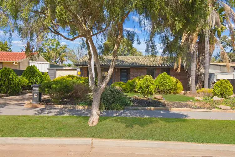 Main view of Homely house listing, 13 Illalong Crescent, Munno Para SA 5115
