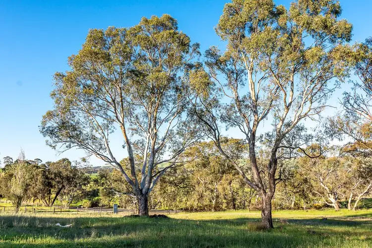 Fourth view of Homely rural property listing, 161 Mail Road, Harrogate SA 5244