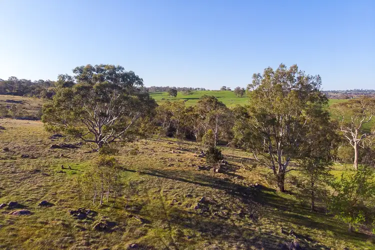 Fifth view of Homely rural property listing, 161 Mail Road, Harrogate SA 5244