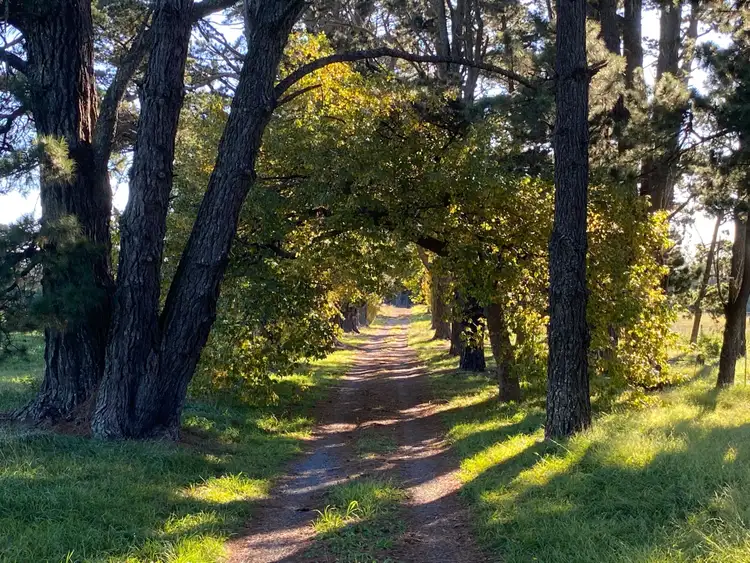 236 Bundanoon Road, Exeter NSW 2579
