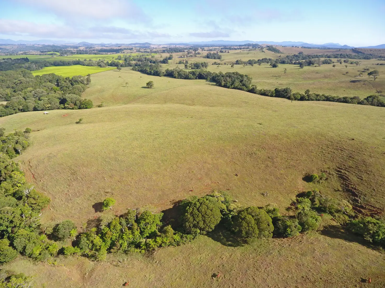 Main view of Homely rural property listing, Address available on request