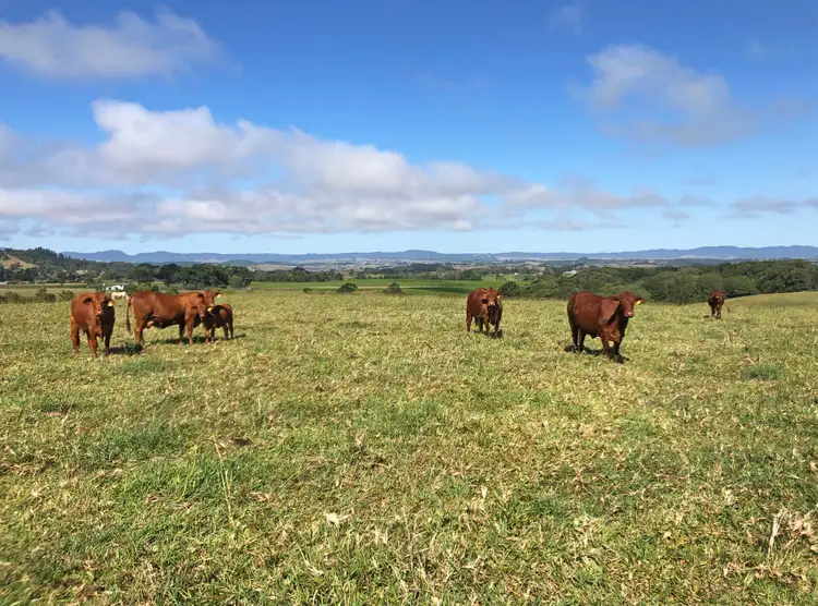 Second view of Homely rural property listing, Address available on request