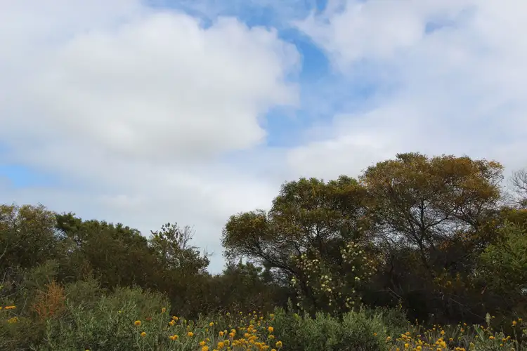 Main view of Homely land listing, 67 River Loop, Jurien Bay WA 6516