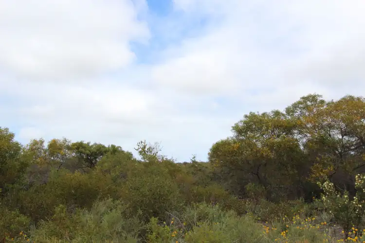 Fifth view of Homely land listing, 67 River Loop, Jurien Bay WA 6516