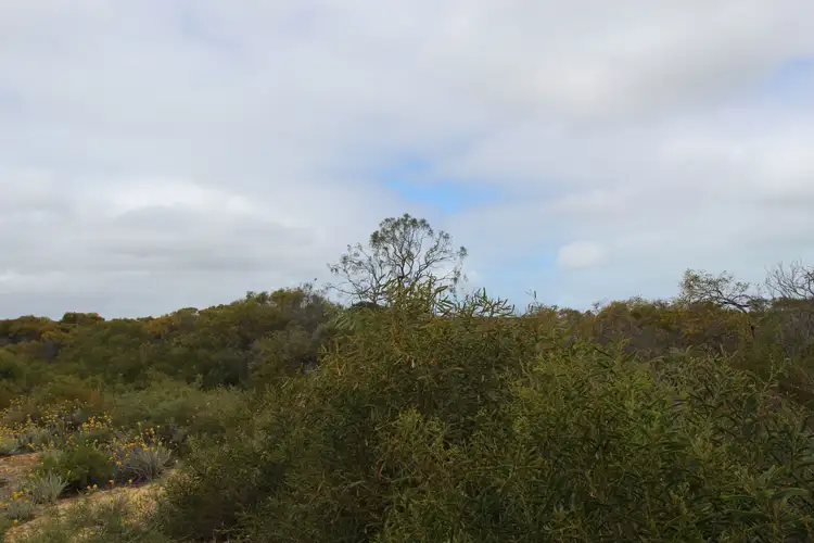 Seventh view of Homely land listing, 67 River Loop, Jurien Bay WA 6516