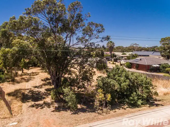 Sixth view of Homely land listing, 470 Chapman Road, Bluff Point WA 6530