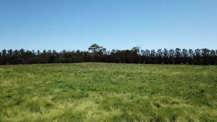 Third view of Homely rural property listing, 95 Black Lane, Armidale NSW 2350