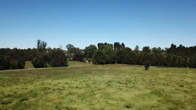 Fifth view of Homely rural property listing, 95 Black Lane, Armidale NSW 2350