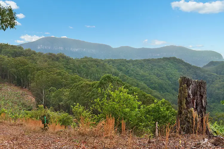 Main view of Homely rural property listing, lot 1 Chauviers Road, Upper Crystal Creek NSW 2484