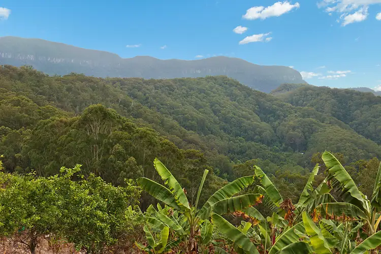 Third view of Homely rural property listing, lot 1 Chauviers Road, Upper Crystal Creek NSW 2484