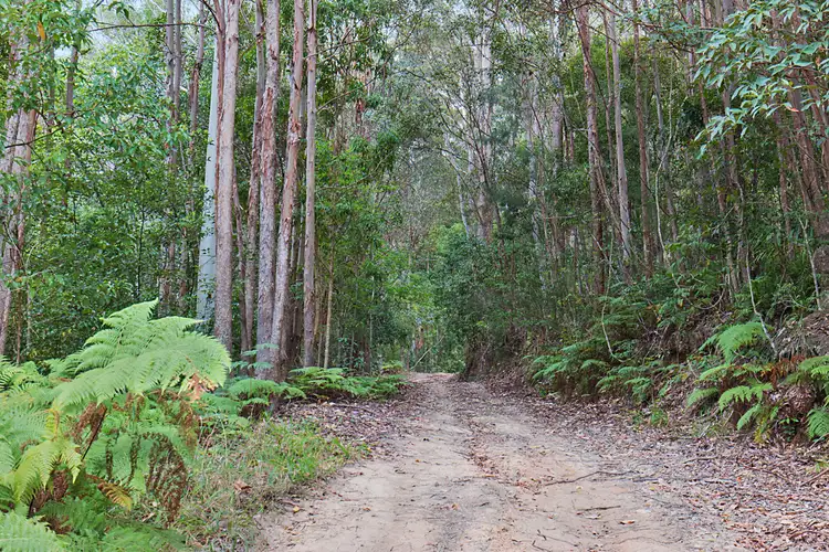 Fourth view of Homely rural property listing, lot 1 Chauviers Road, Upper Crystal Creek NSW 2484