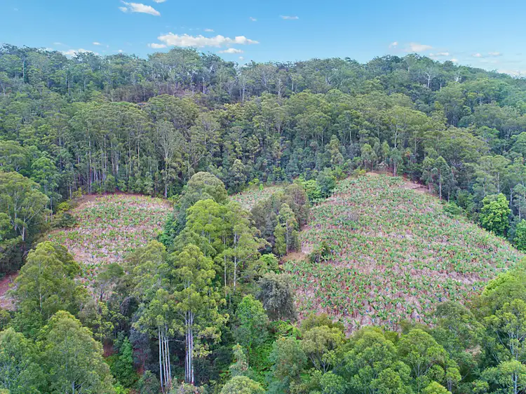 Sixth view of Homely rural property listing, lot 1 Chauviers Road, Upper Crystal Creek NSW 2484