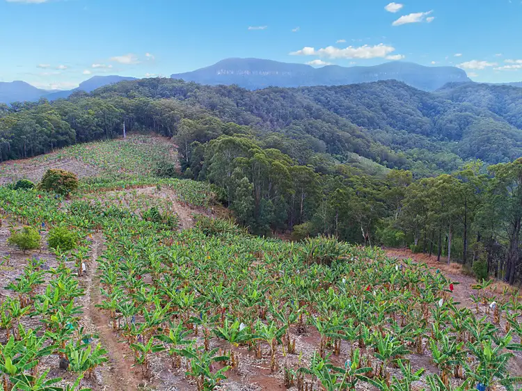Seventh view of Homely rural property listing, lot 1 Chauviers Road, Upper Crystal Creek NSW 2484