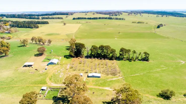 Fourth view of Homely rural property listing, 90 Bracken Glen Lane, Oberon NSW 2787