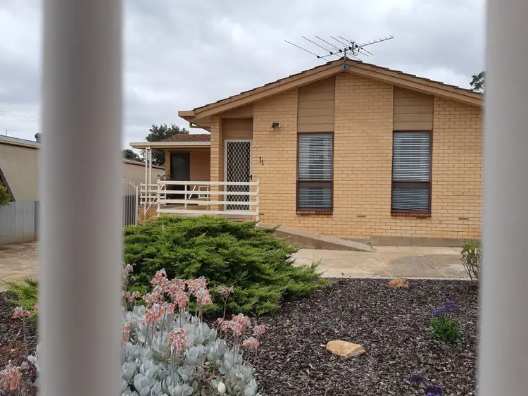 Main view of Homely house listing, 11 Potter Avenue, Murray Bridge SA 5253