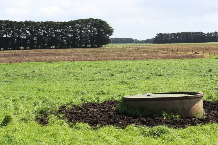 Second view of Homely rural property listing, 102 Nine Mile Creek Road, Koroit VIC 3282