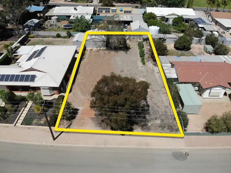 29 Dridan Avenue, Renmark SA 5341