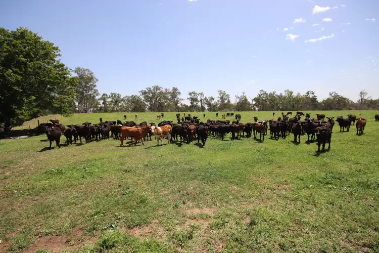 Main view of Homely rural property listing, 590 Riverleigh Station Road, Mundubbera QLD 4626