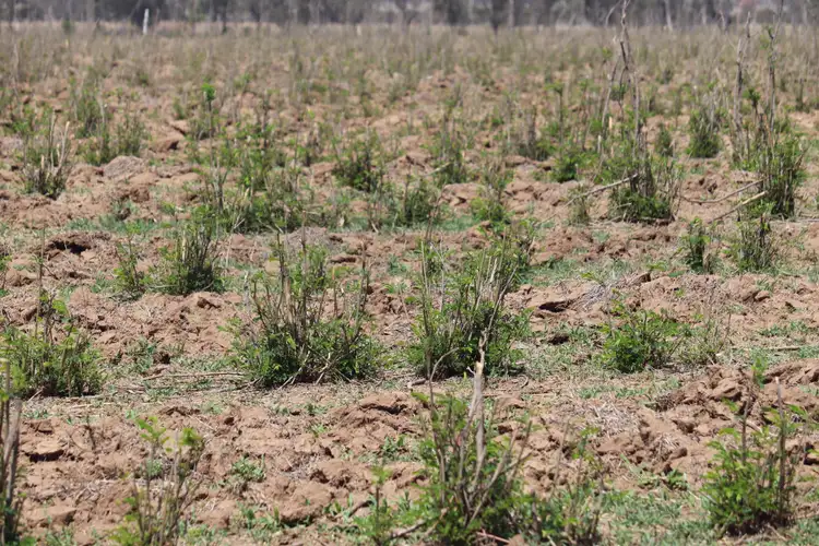 Fourth view of Homely rural property listing, 590 Riverleigh Station Road, Mundubbera QLD 4626