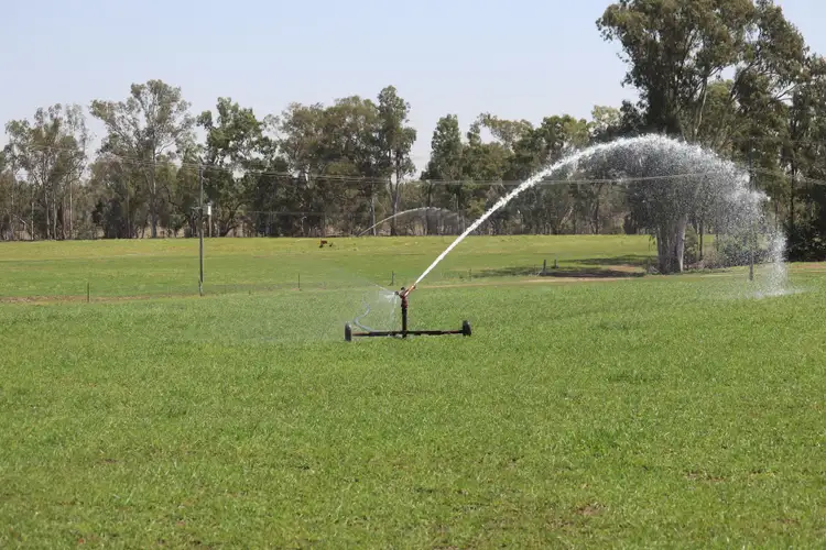Fifth view of Homely rural property listing, 590 Riverleigh Station Road, Mundubbera QLD 4626
