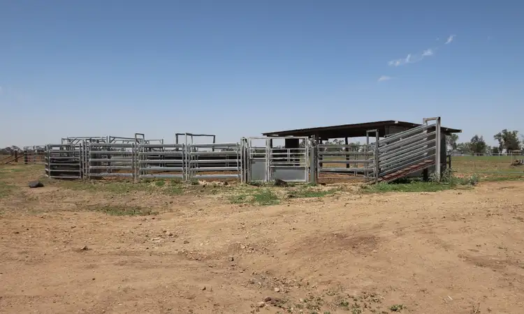 Seventh view of Homely rural property listing, 590 Riverleigh Station Road, Mundubbera QLD 4626