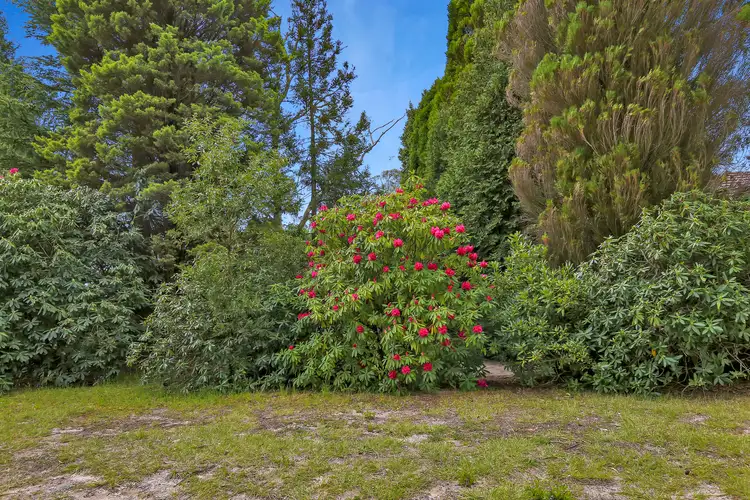 24 Sylvania Street, Mount Victoria NSW 2786