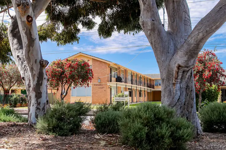 3/62 Maxwell Terrace, Glengowrie SA 5044