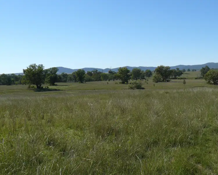 " Box Hill", Bingara NSW 2404