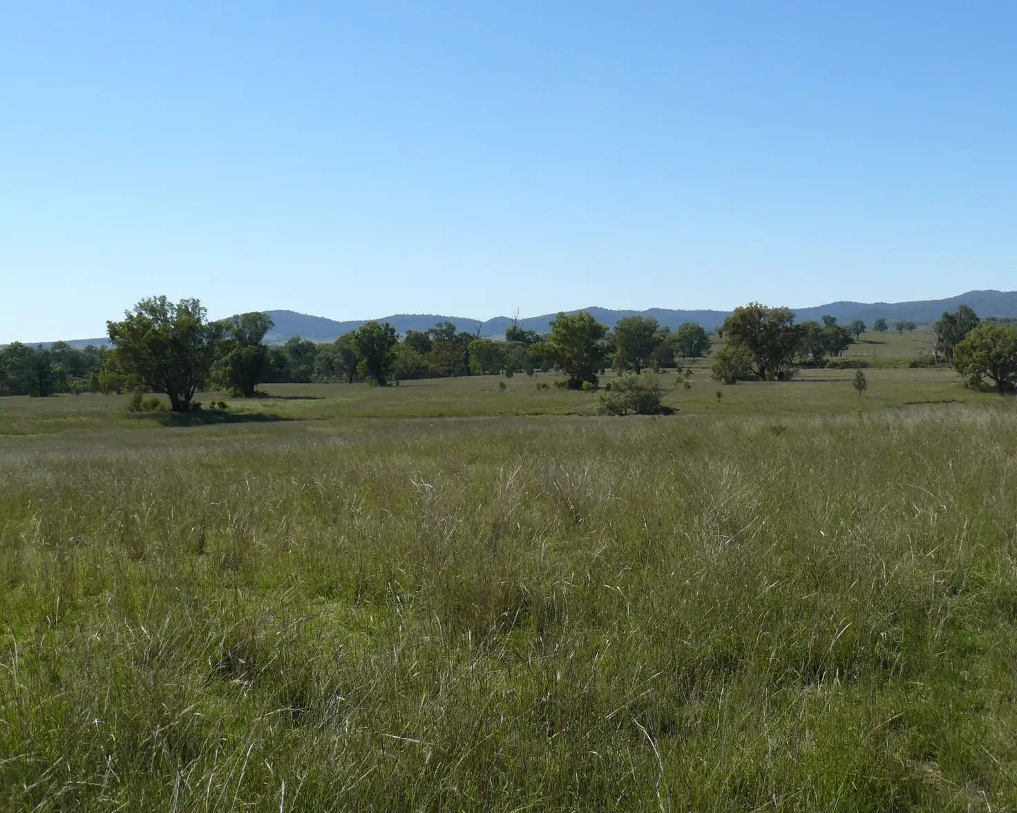 Main view of Homely rural property listing, " Box Hill", Bingara NSW 2404
