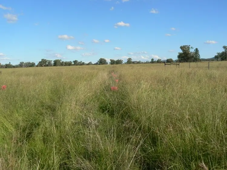 Third view of Homely rural property listing, " Box Hill", Bingara NSW 2404