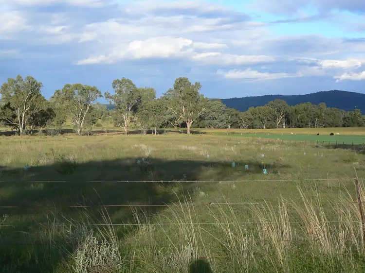 Fourth view of Homely rural property listing, " Box Hill", Bingara NSW 2404