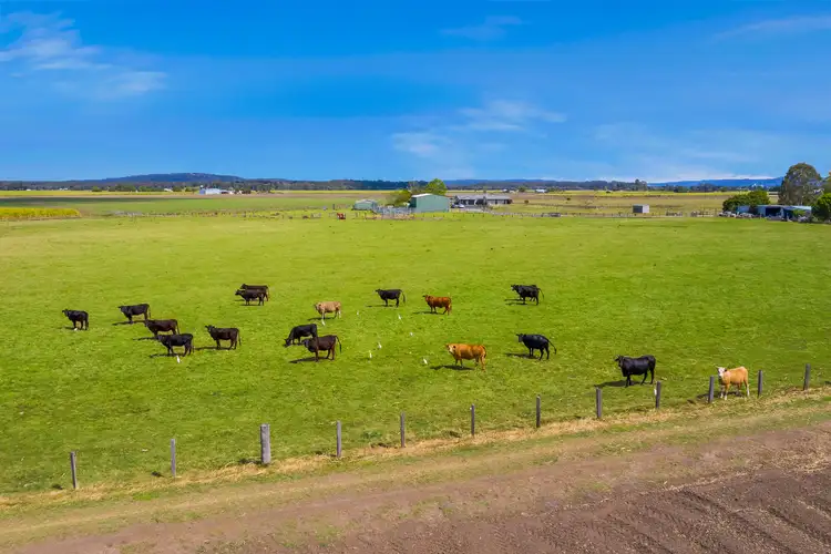 Third view of Homely house listing, 44 Camerons Lane, Palmers Channel NSW 2463