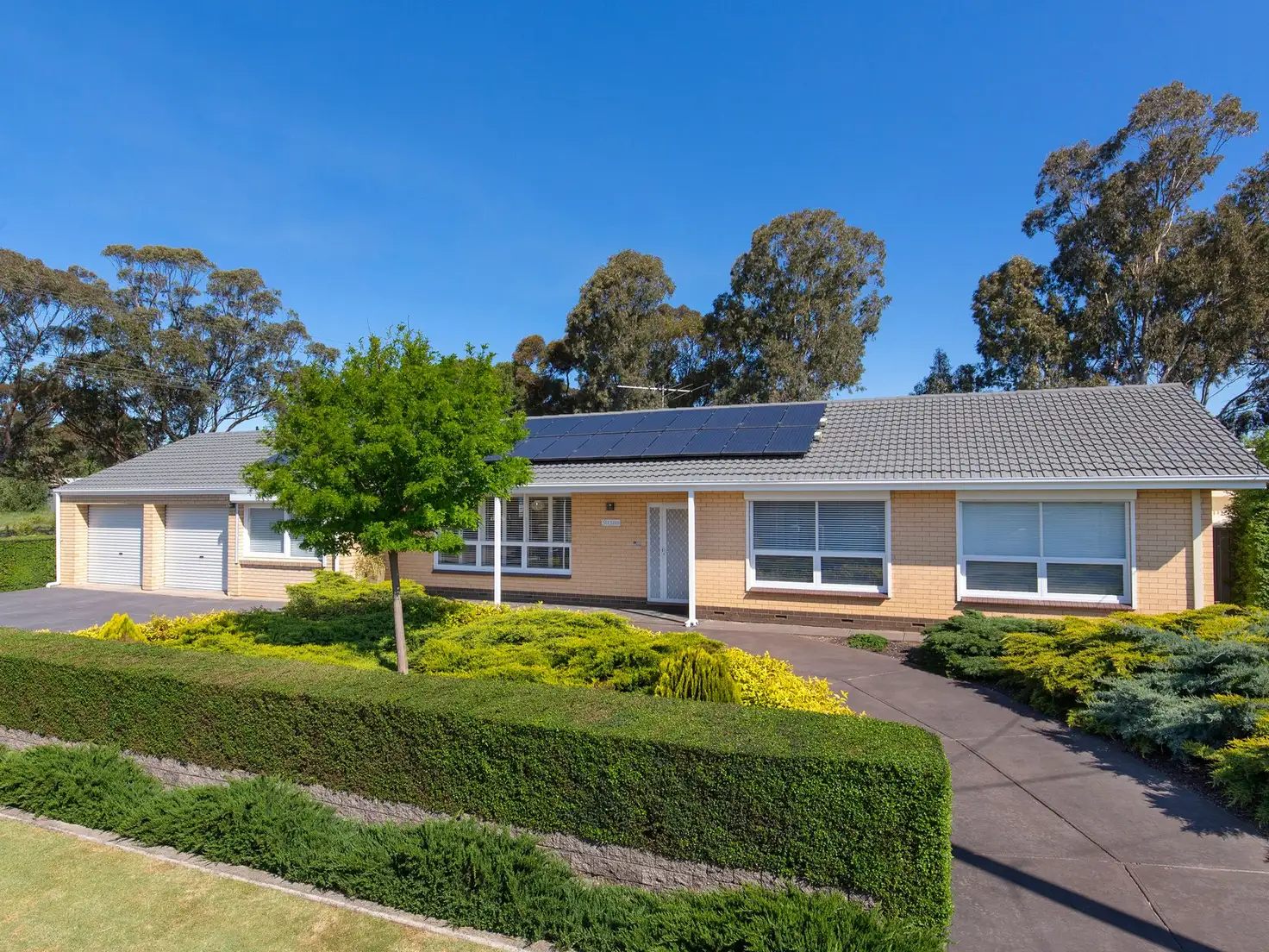 Main view of Homely house listing, 16 Lillimur Avenue, Morphett Vale SA 5162