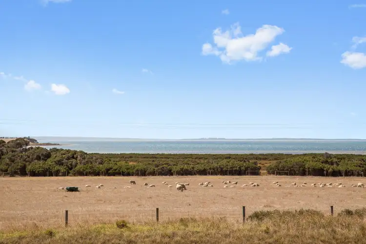 Third view of Homely house listing, 81-83 Phillip Island Road, Surf Beach VIC 3922