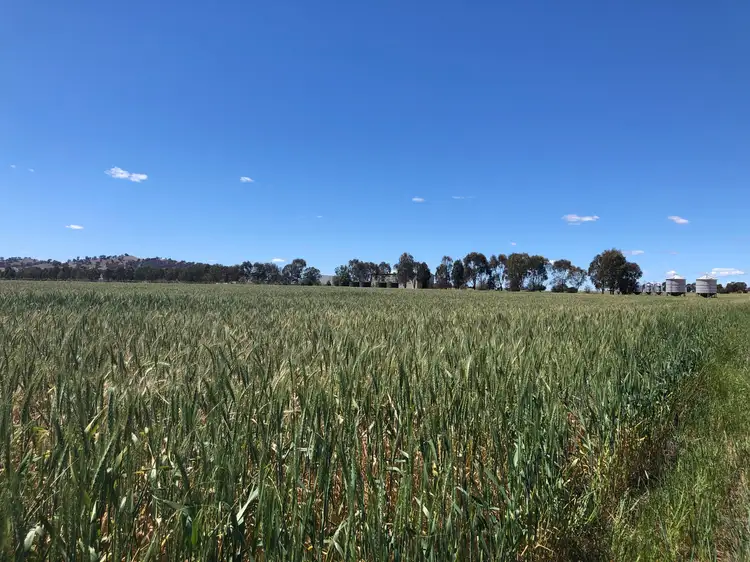 "LeGrenier" 617 Canowindra Road, Cowra NSW 2794