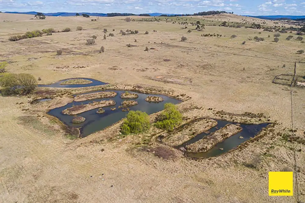 Main view of Homely land listing, 660 Majors Creek Road, Braidwood NSW 2622