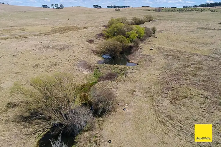 Sixth view of Homely land listing, 660 Majors Creek Road, Braidwood NSW 2622