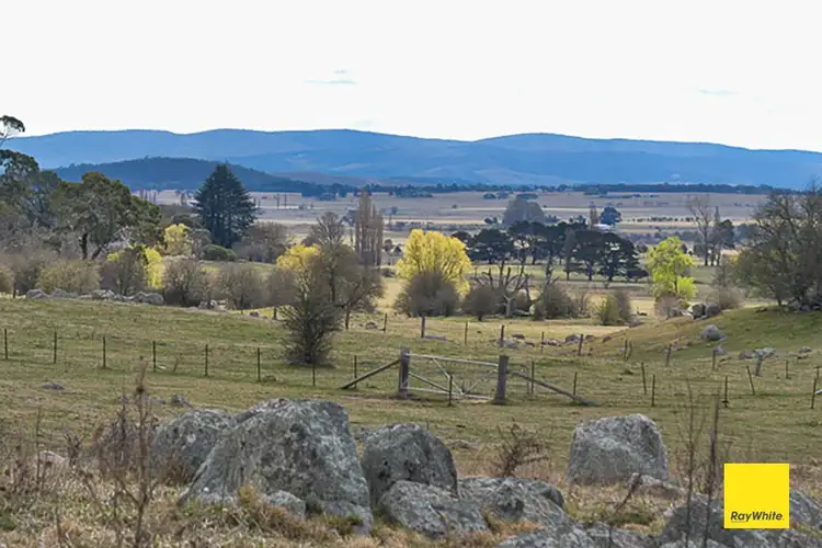 Seventh view of Homely land listing, 660 Majors Creek Road, Braidwood NSW 2622