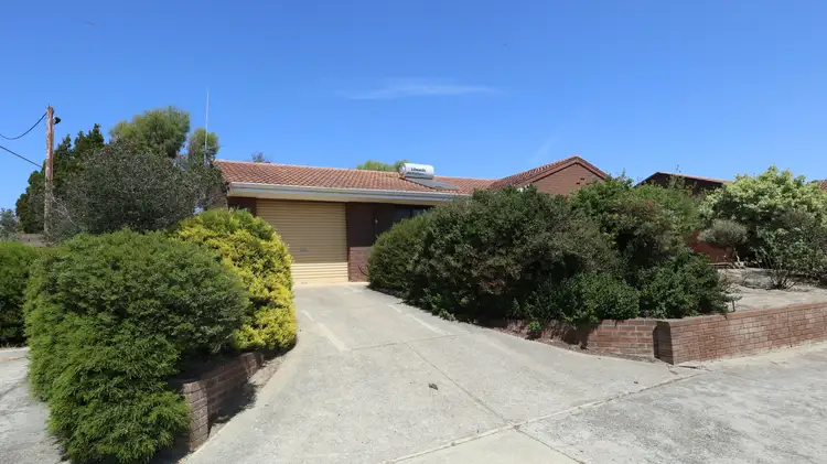 Main view of Homely unit listing, Unit 6/70 Williams Road, Narrogin WA 6312
