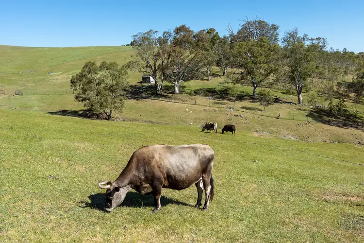 Fifth view of Homely house listing, 147A The Glen Road, Harrogate SA 5244