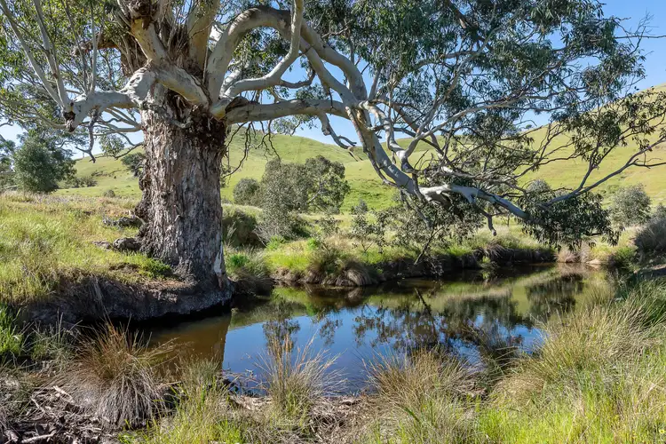 Sixth view of Homely house listing, 147A The Glen Road, Harrogate SA 5244